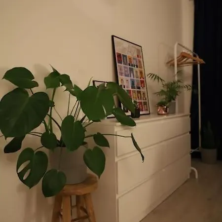 Sunny Cozy Appartement
